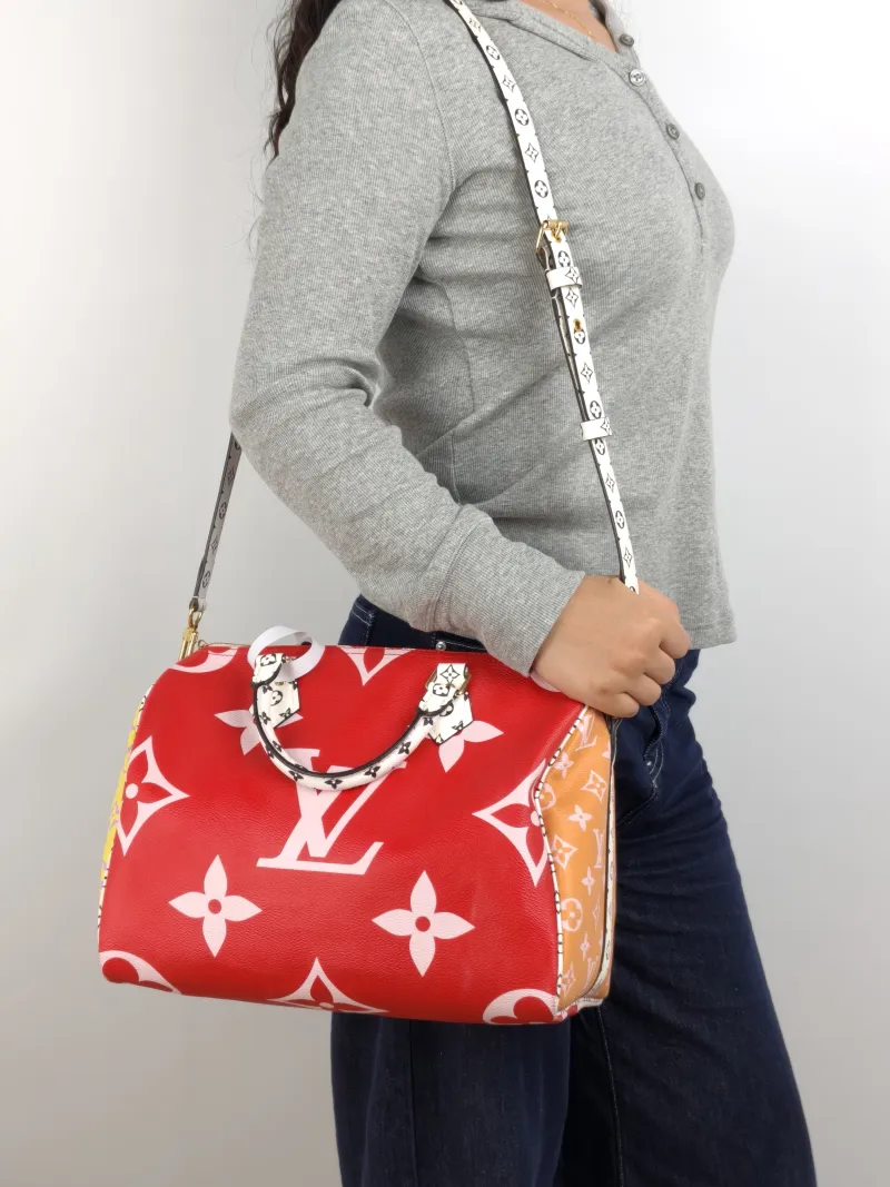 Louis Vuitton Top Handle Bag Speedy30 Colorblock PVC Large 30 × 17 × 21 cm — on-model view 3 of 3