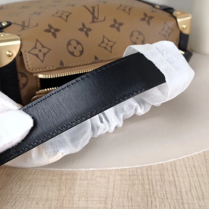 Louis Vuitton Crossbody Bag Side Trunk Box Monogram PVC Medium 23.5 × 8.5 × 16 cm — detail view 7 of 11