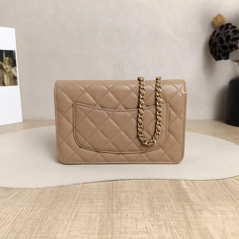 Chanel Crossbody Bag Edition cf woc Taupe Calfskin19.2 × 3.5 × 12.3 cm — cover view 3 of 6