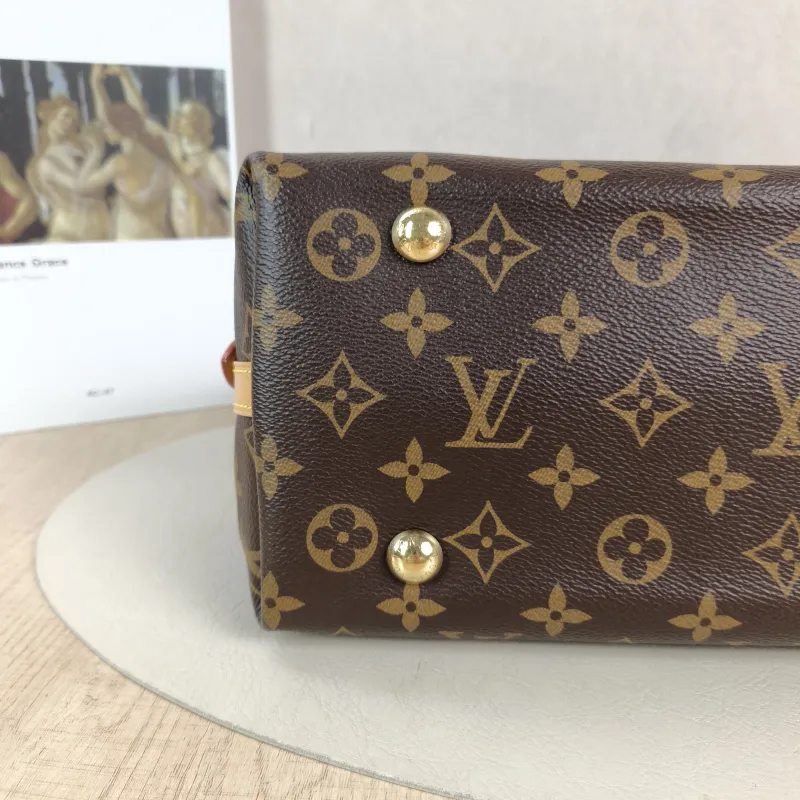 Louis Vuitton Crossbody Bag Carryall Monogram PVC Small 29 × 12 × 24 cm — detail view 13 of 13