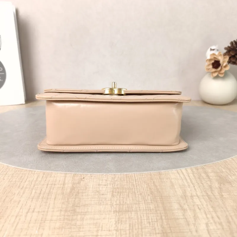 Chanel Crossbody Bag woc Taupe Calfskin One Size19 × 6 × 12 cm — cover view 4 of 5