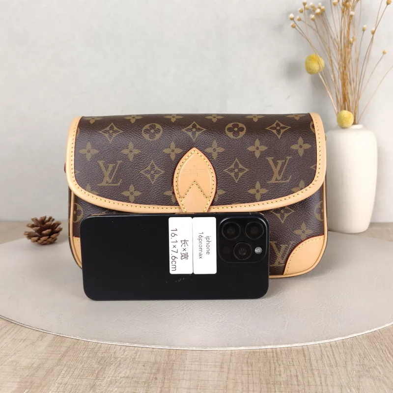 Louis Vuitton Crossbody Bag Diane Baguette Bag Shoulder Strap PVC Small 24 × 9 × 15 cm — cover view 6 of 6