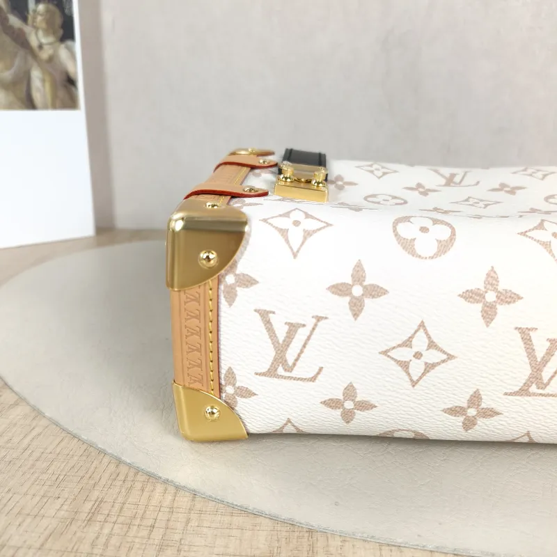 Louis Vuitton Crossbody Bag Side Trunk Box · Black PVC Medium 23.5 × 8.5 × 16 cm — detail view 2 of 11