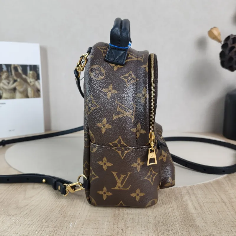 Louis Vuitton Backpack Palm Springs Backpack Monogram PV Cmini17 × 10 × 22 cm — detail view 6 of 10
