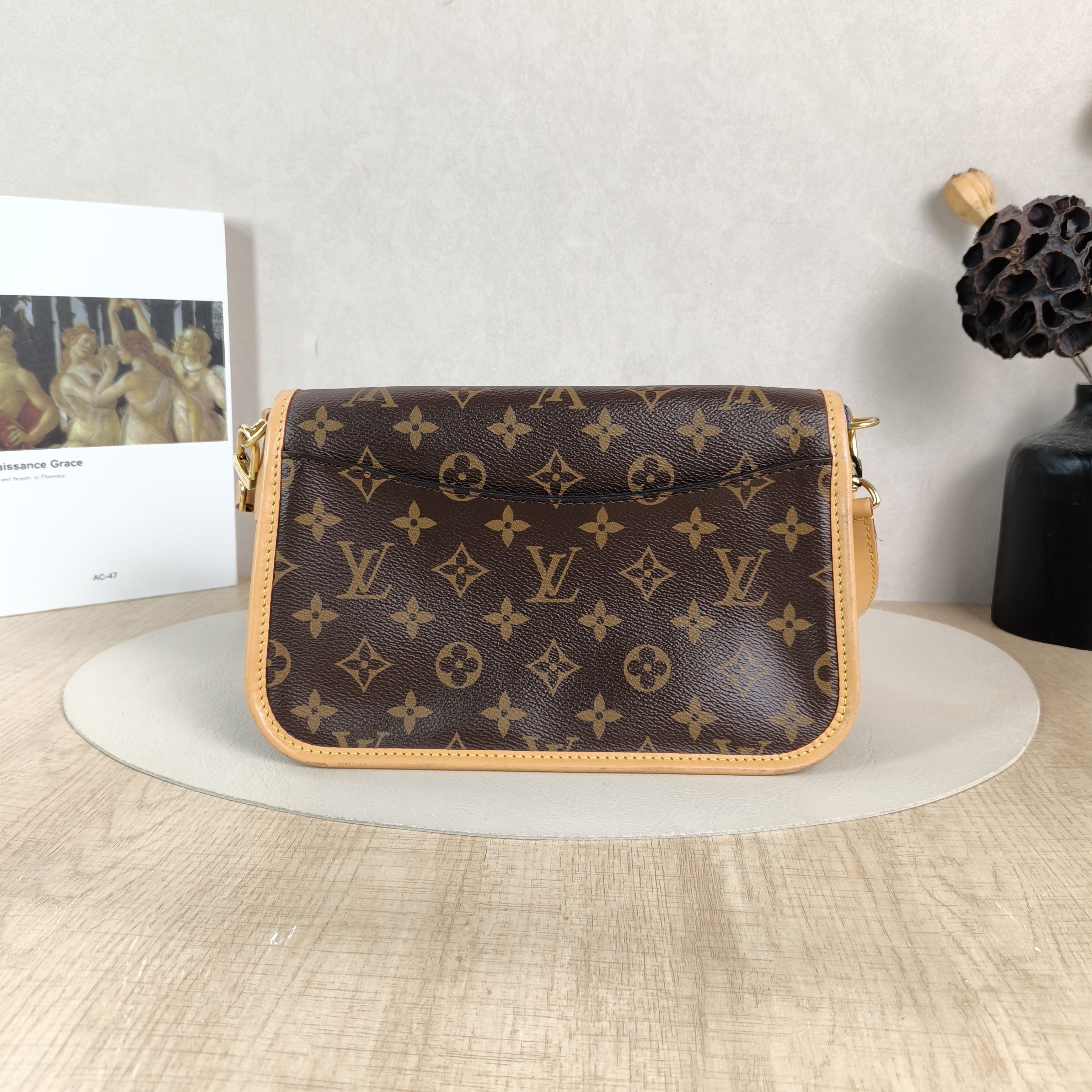 Louis Vuitton Crossbody Bag Diane Baguette Bag Shoulder Strap PVC Small24 × 9 × 15 cm — cover view 2 of 5