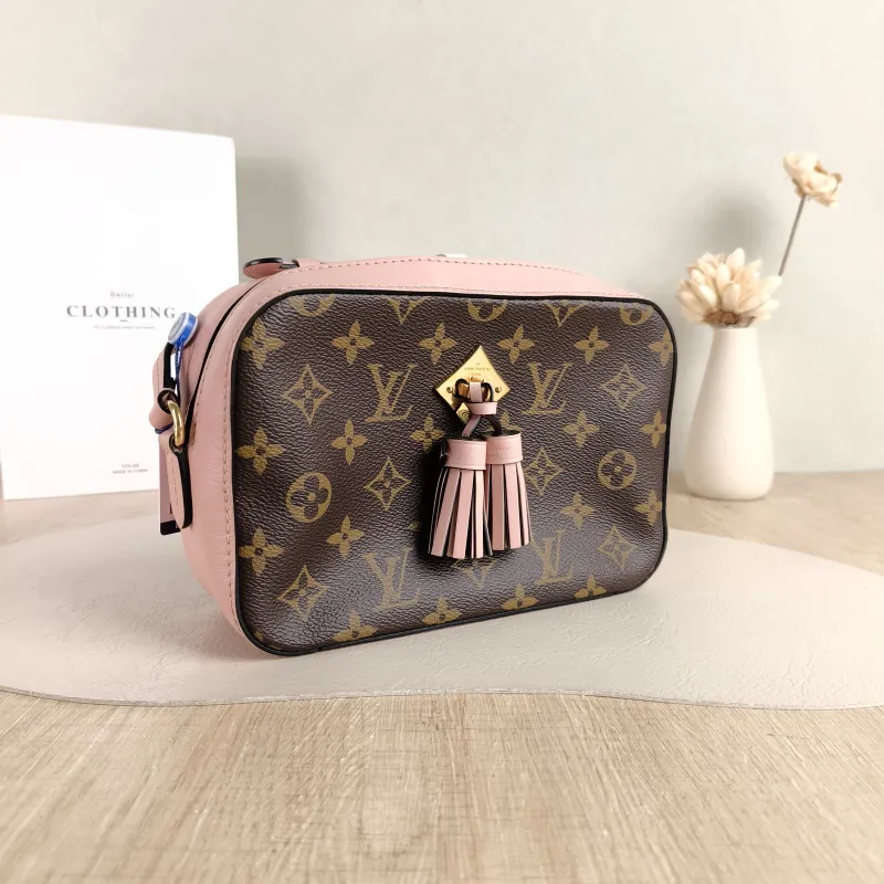 Louis Vuitton Crossbody Bag Saintonge Camera Bag Pink PVC Small 22 × 8 × 16 cm — cover view 2 of 5