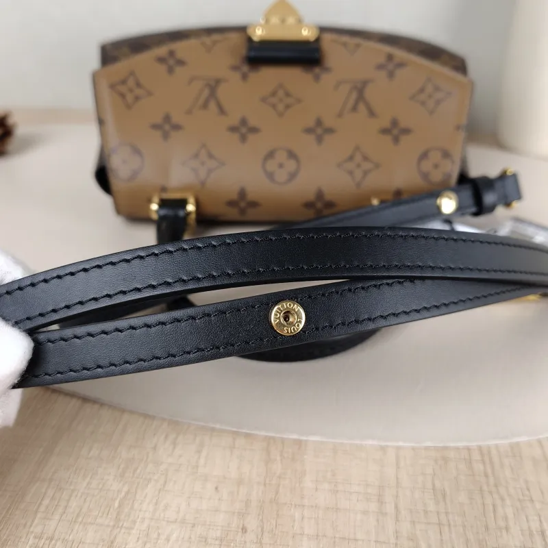 Louis Vuitton Crossbody Bag Tilsitt Monogram PVC Medium 24 × 7 × 18 cm — detail view 5 of 11