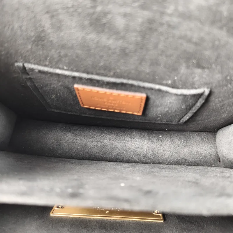 Louis Vuitton Crossbody Bag Dauphine Monogram PVC Mini 20 × 9 × 15 cm — detail view 6 of 14