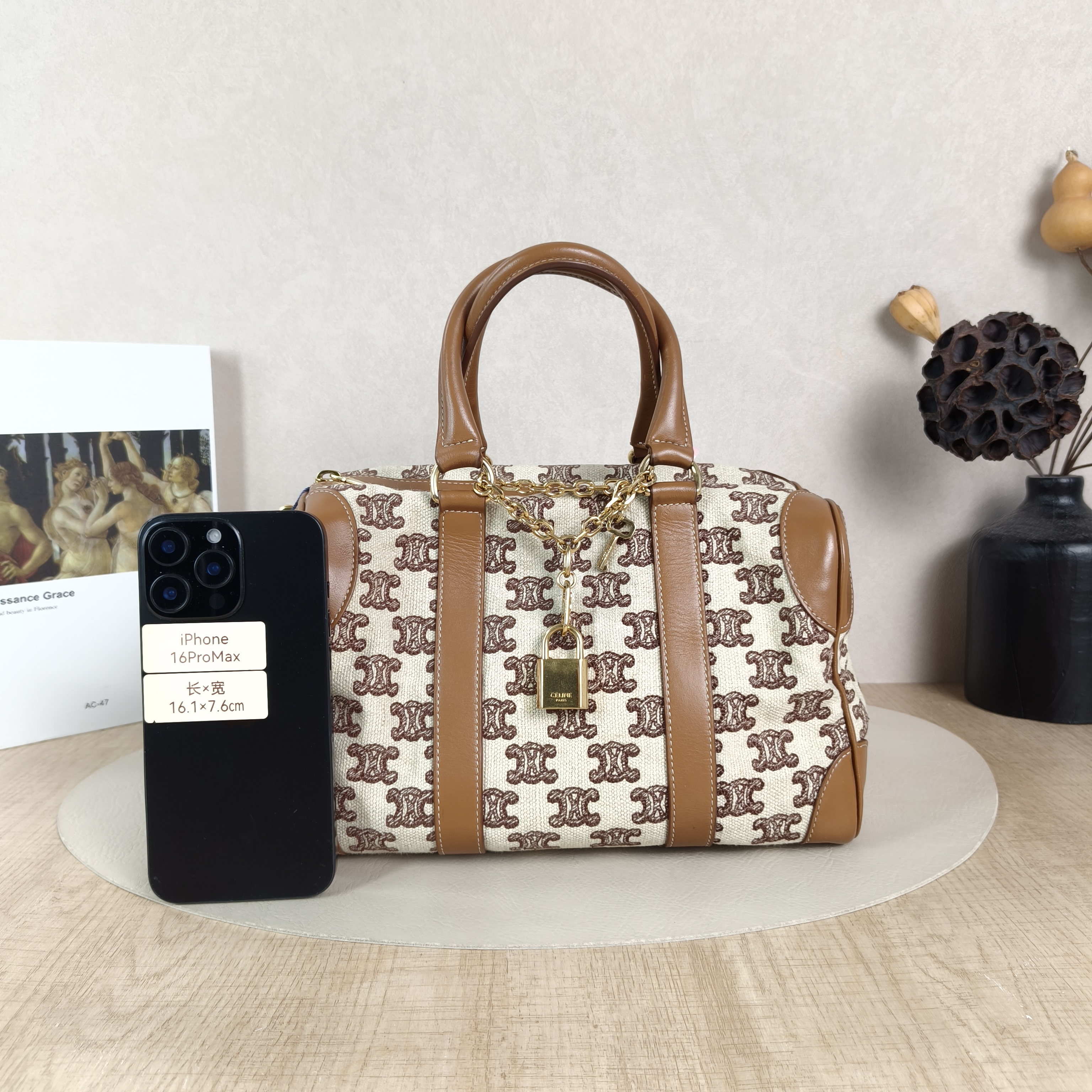 CELINE Shoulder Bag Triomphe Embroidery Brown Canvas · Calfskin Small26 × 14 × 17 cm — cover view 3 of 5