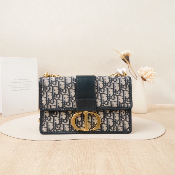 DIOR 30Chain Bag Conditioned Medium Monogram Canvas · 25 × 9 × 16.5 cm