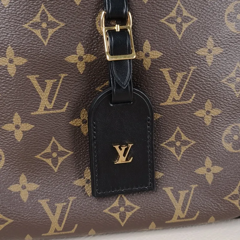 Louis Vuitton Crossbody Bag ODEON Monogram PVC Small 24 × 8 × 22 cm — detail view 5 of 12