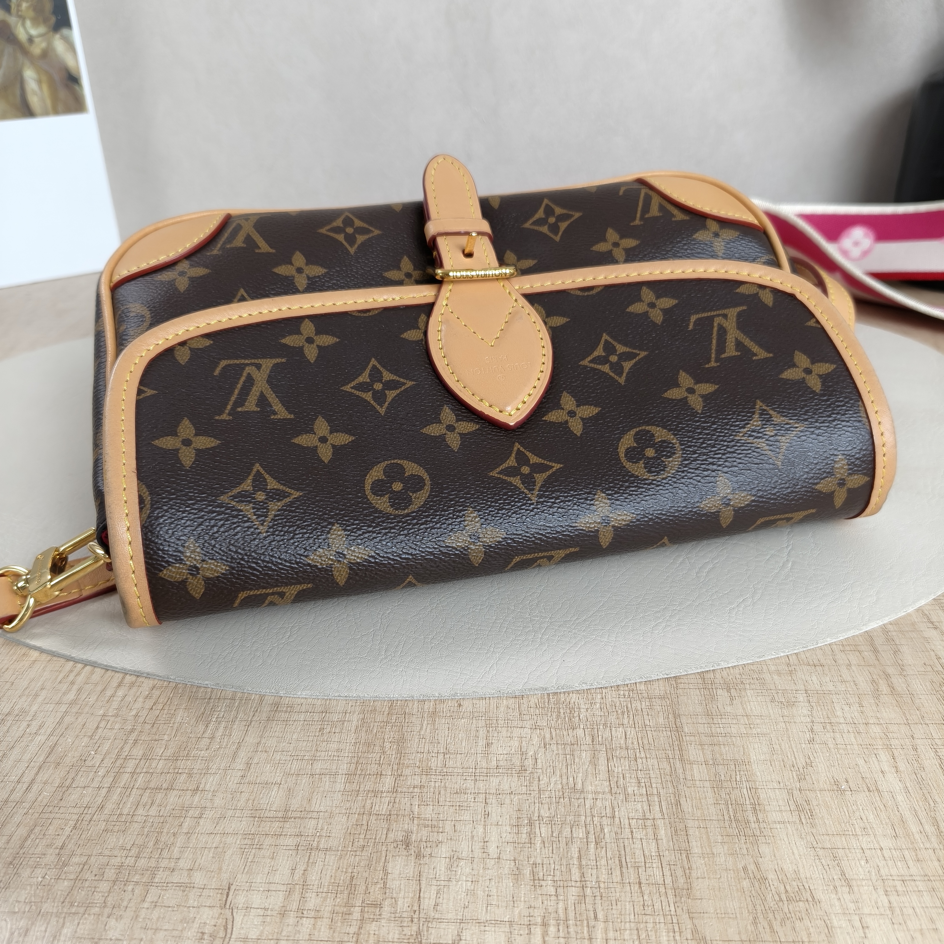 Louis Vuitton Crossbody Bag Diane Baguette Bag Shoulder Strap PVC Small24 × 9 × 15 cm — cover view 5 of 10