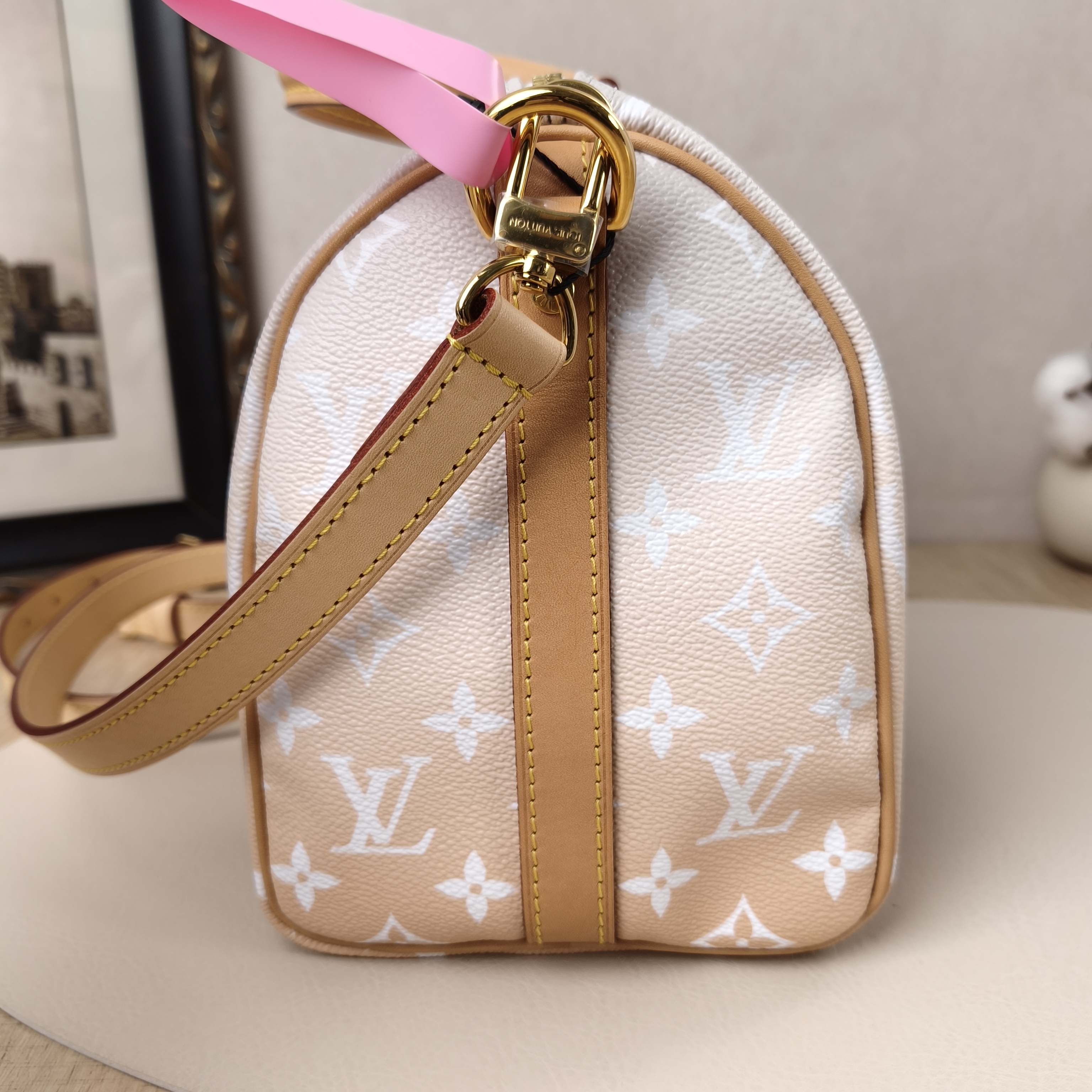 Louis Vuitton Crossbody Bag Speedy25 PVC Medium25 × 15 × 19 cm — cover view 5 of 11