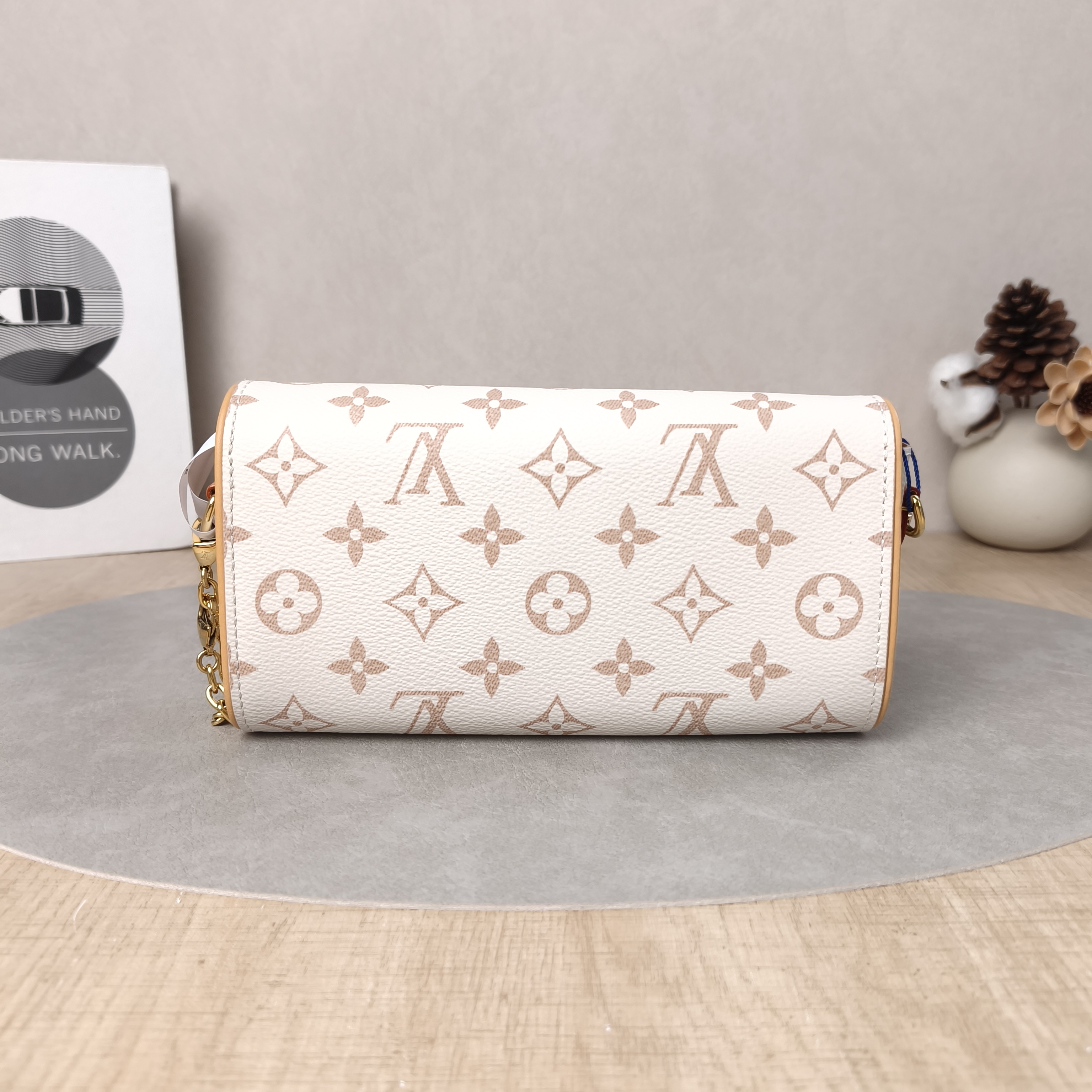 Louis Vuitton Crossbody Bag POCHETTE CAMILLE PVC One Size20.5 × 6 × 11 cm — cover view 4 of 5