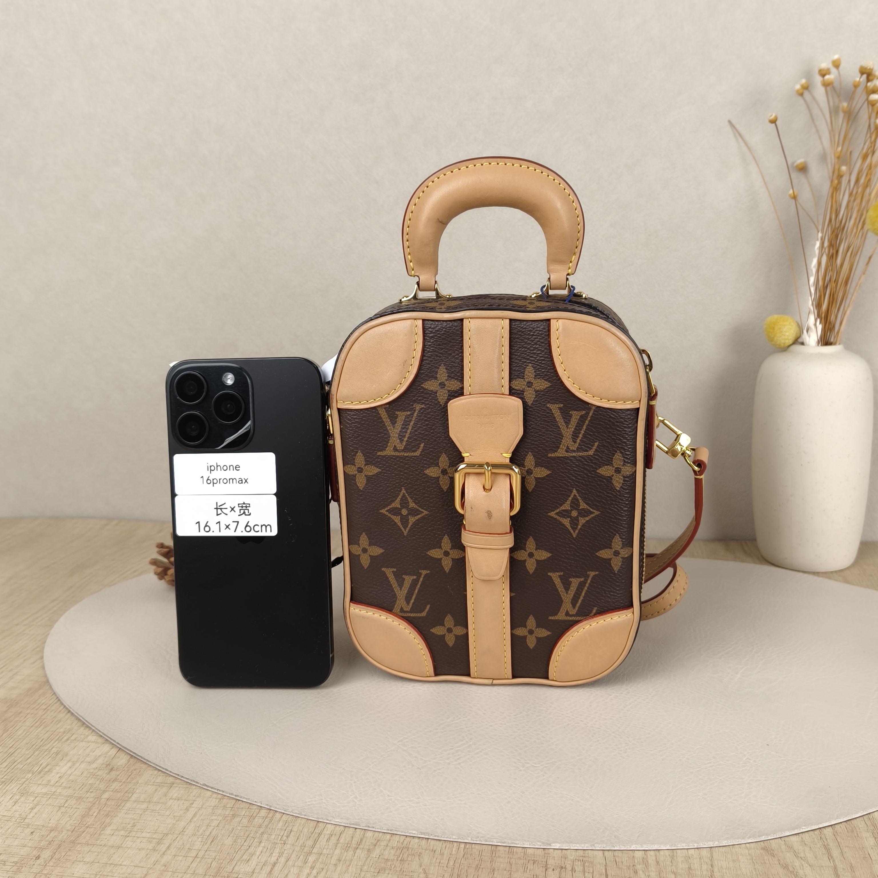 Louis Vuitton Crossbody Bag Luggage Vertical Box Monogram PV Cmini14.5 × 6 × 18.5 cm — cover view 8 of 9