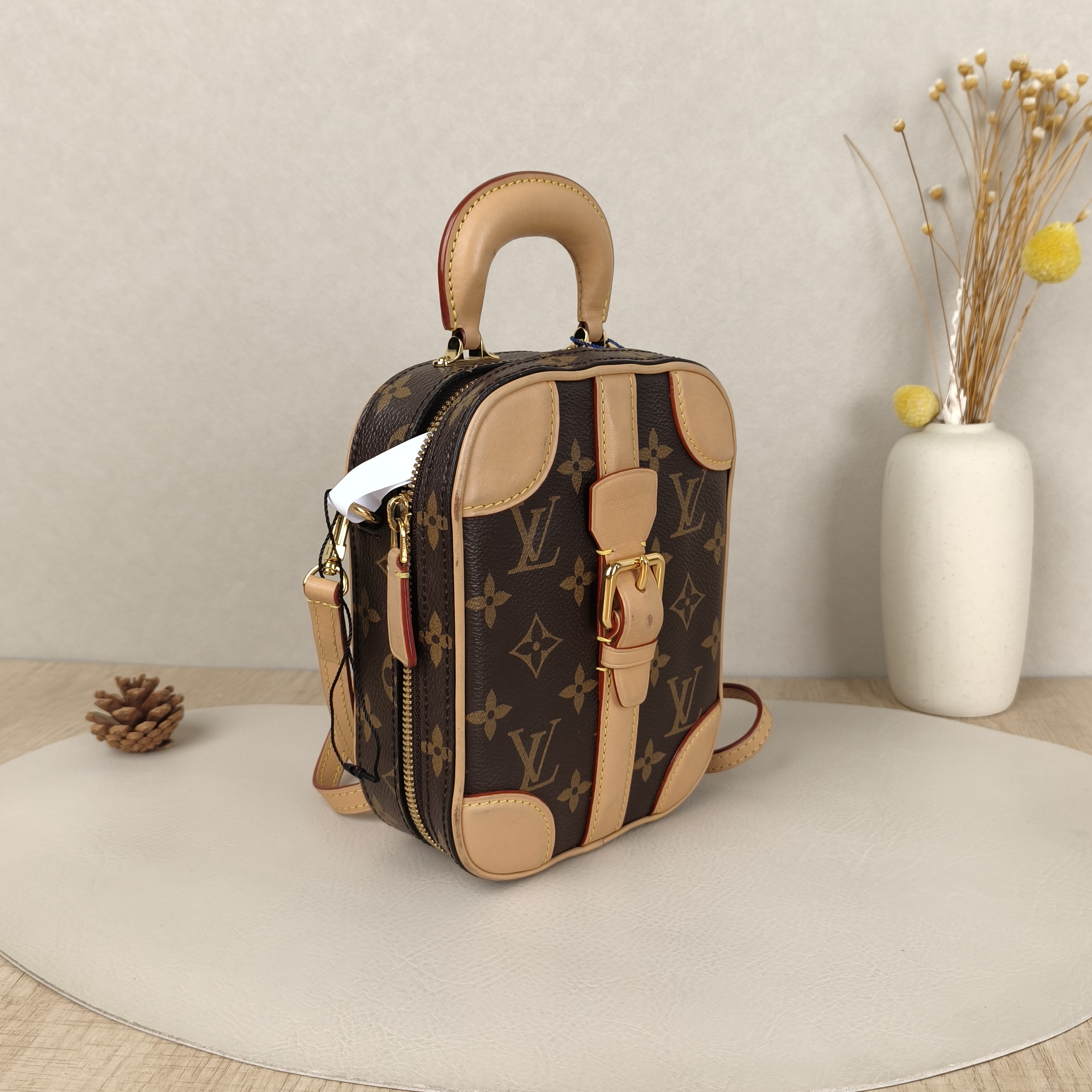 Louis Vuitton Crossbody Bag Luggage Vertical Box Monogram PV Cmini14.5 × 6 × 18.5 cm — cover view 4 of 9