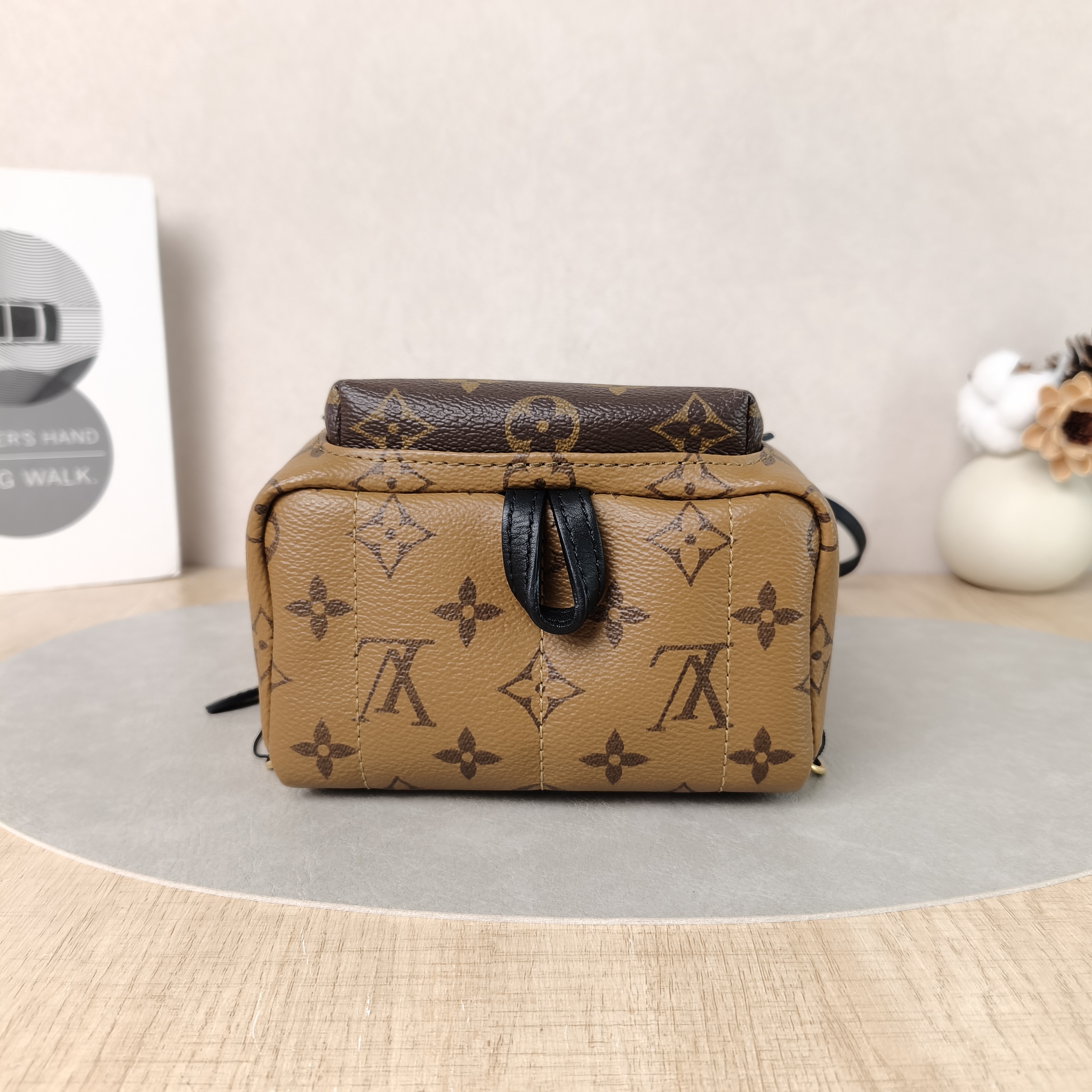 Louis Vuitton Backpack Palm Springs Backpack Monogram PV Cmini17 × 10 × 22 cm — cover view 4 of 5
