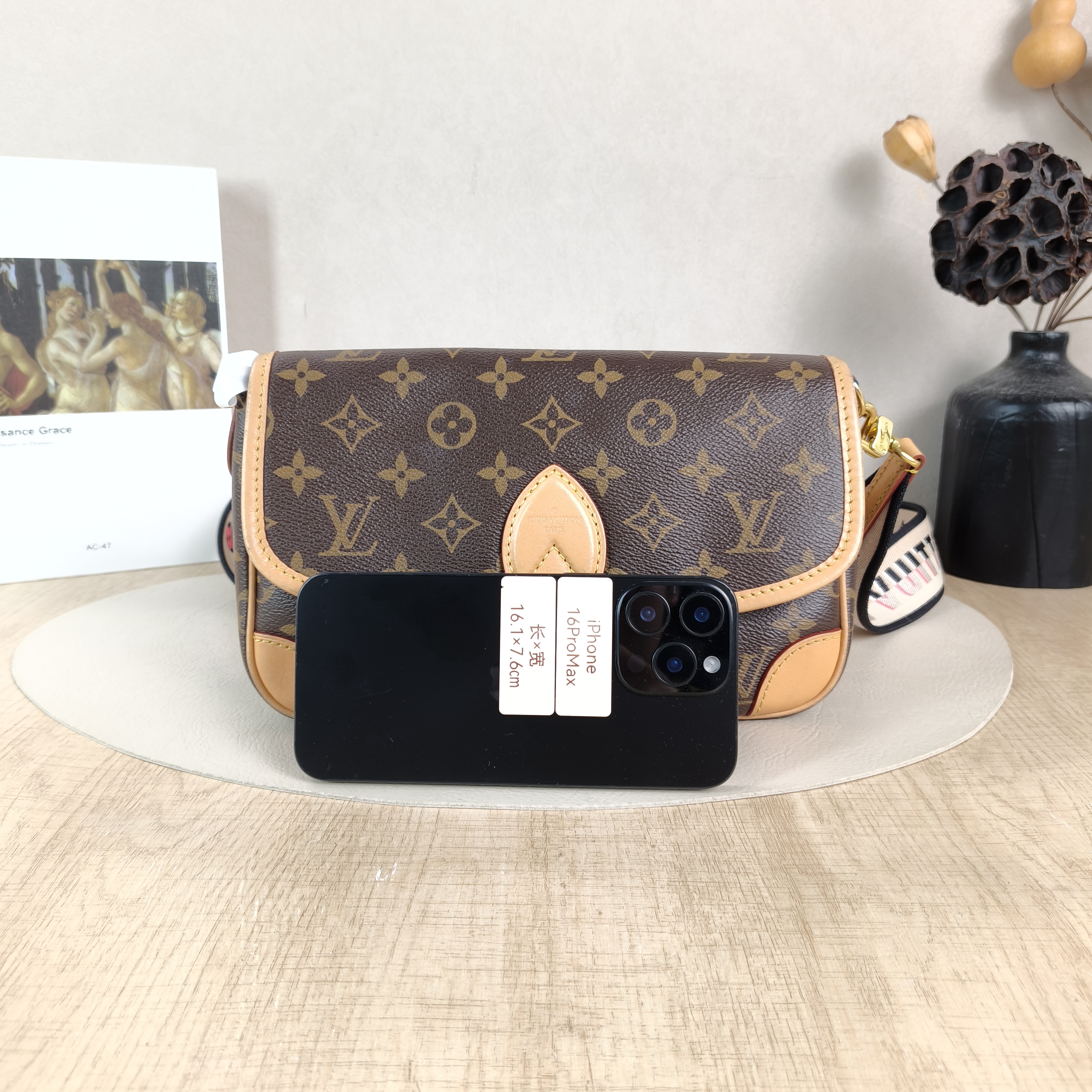 Louis Vuitton Crossbody Bag Diane Baguette Bag Shoulder Strap PVC Small24 × 9 × 15 cm — cover view 5 of 5