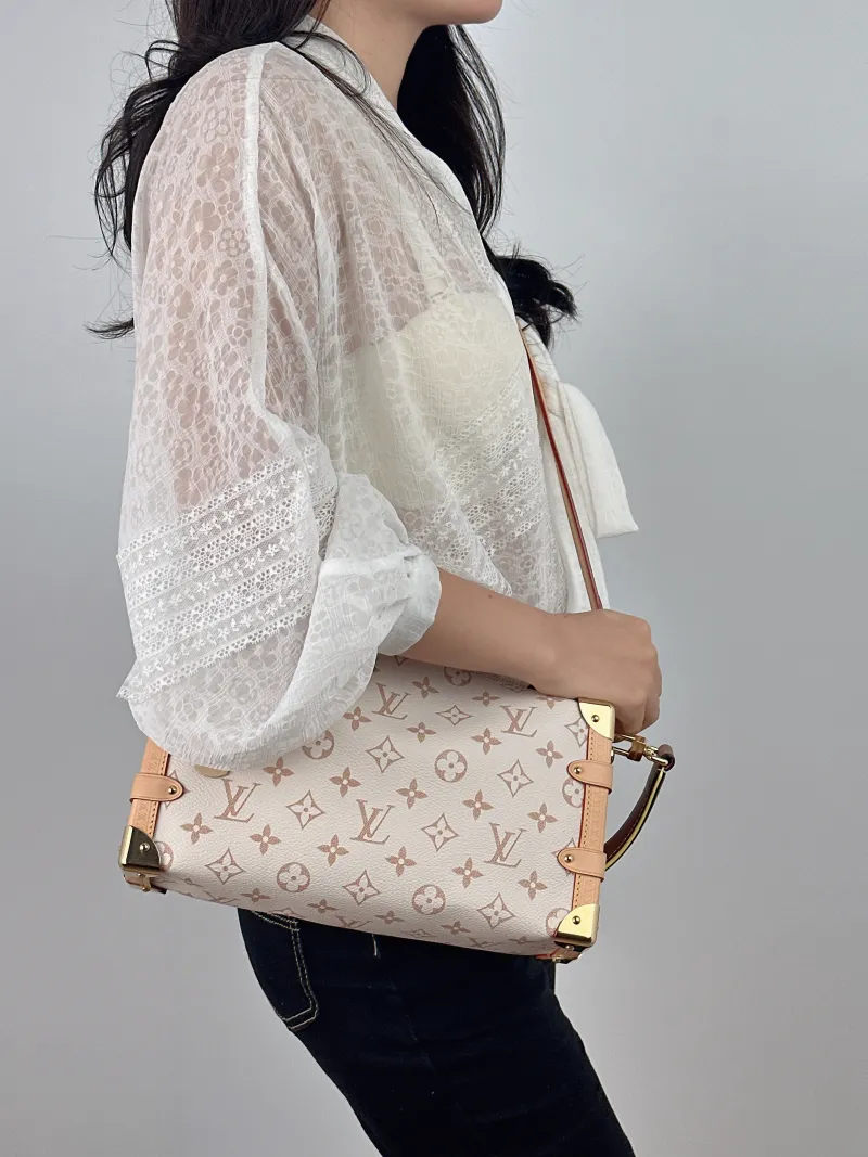 Louis Vuitton Crossbody Bag Side Trunk East West Box PVC Medium 28 × 7 × 15 cm — on-model view 1 of 2