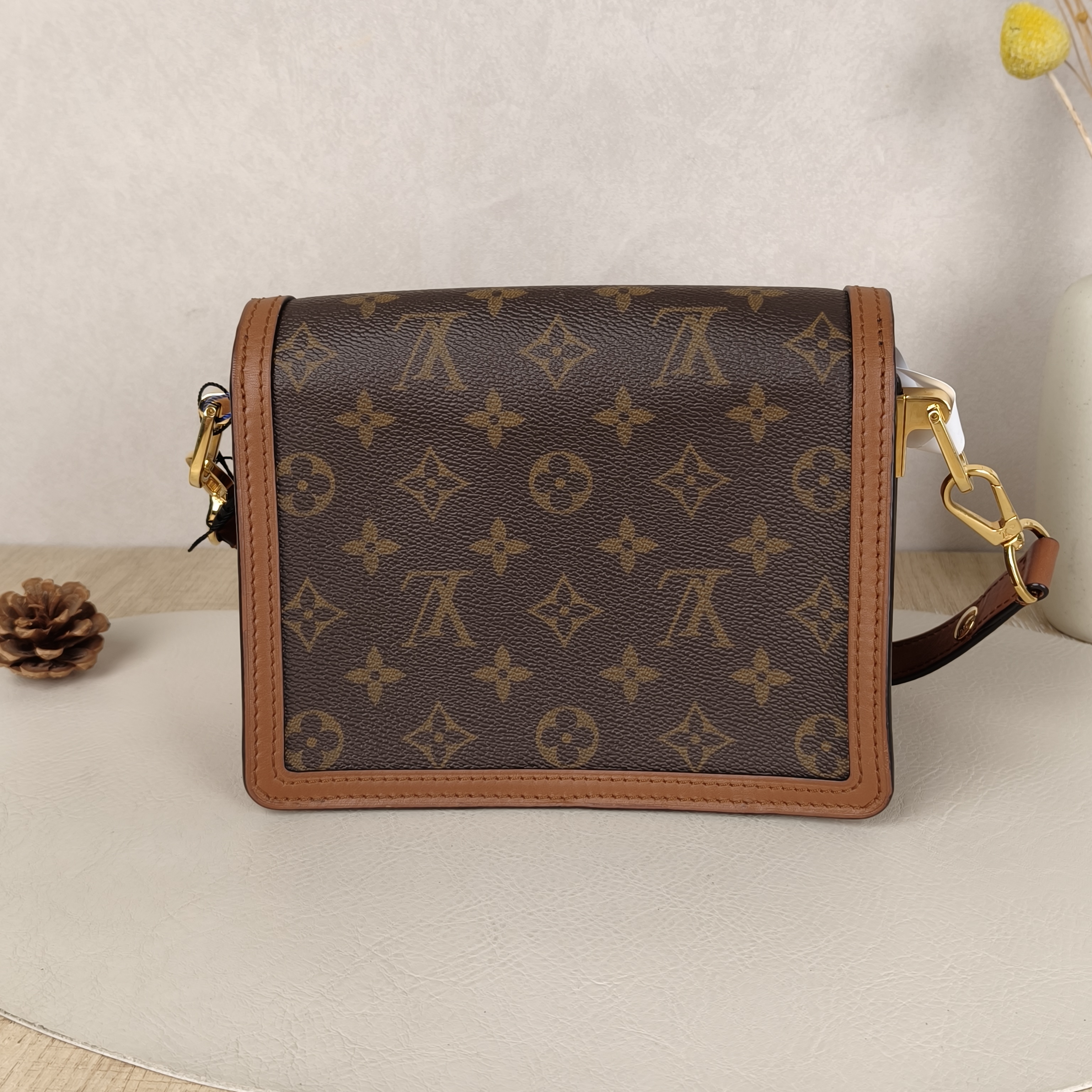 Louis Vuitton Crossbody Bag Dauphine Monogram PV Cmini20 × 9 × 15 cm — cover view 7 of 8