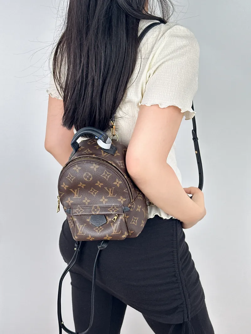 Louis Vuitton Backpack Palm Springs Backpack Monogram PV Cmini17 × 10 × 22 cm — on-model view 1 of 2