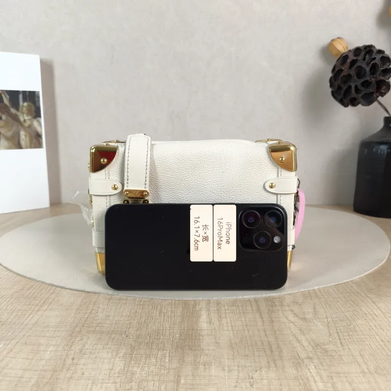 Louis Vuitton Crossbody Bag Side Trunk Box Calfskin Small 19 × 7.5 × 12.5 cm — cover view 5 of 5