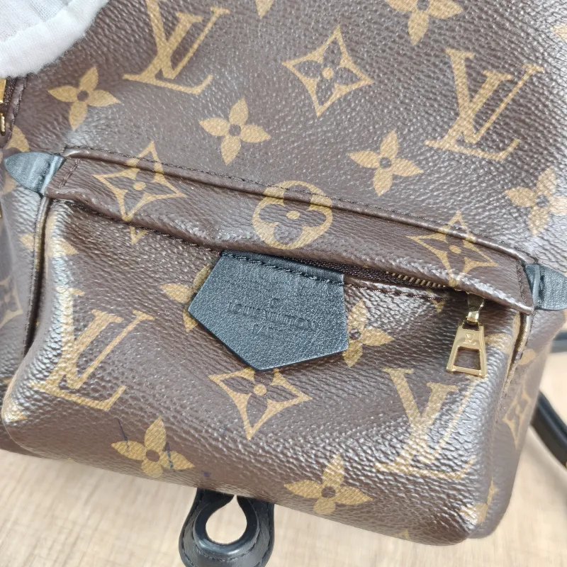 Louis Vuitton Backpack Palm Springs Backpack Monogram PV Cmini17 × 10 × 22 cm — detail view 10 of 10