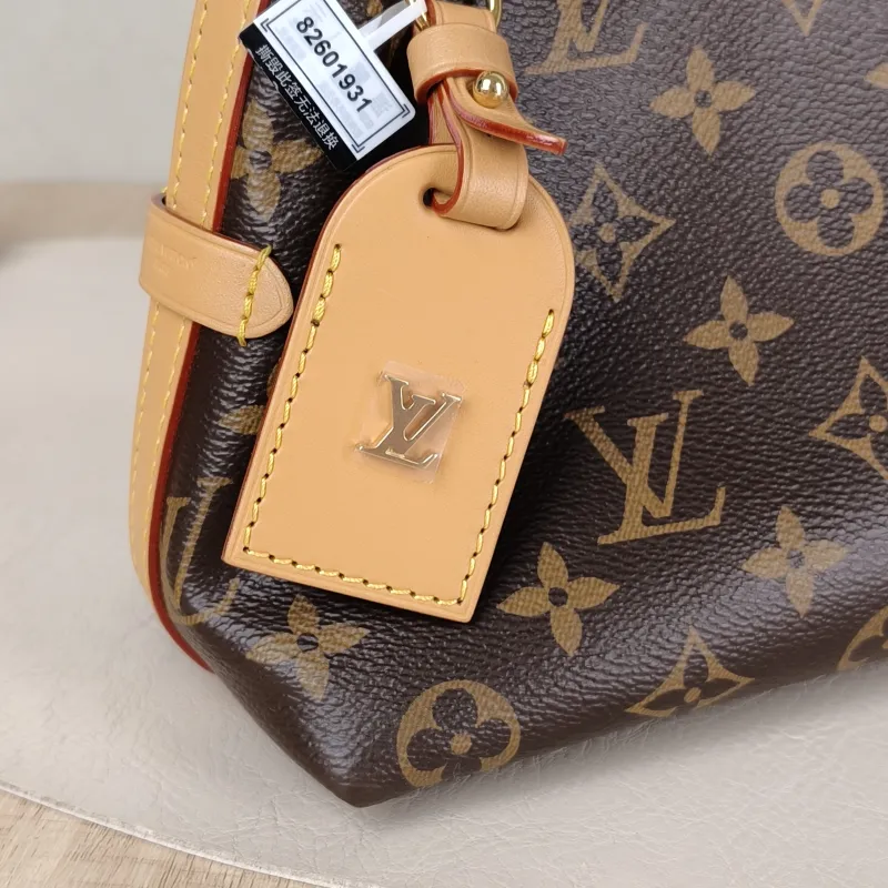 Louis Vuitton Crossbody Bag Carryall BB Monogram PVC BB 26 × 10 × 17 cm — detail view 5 of 12