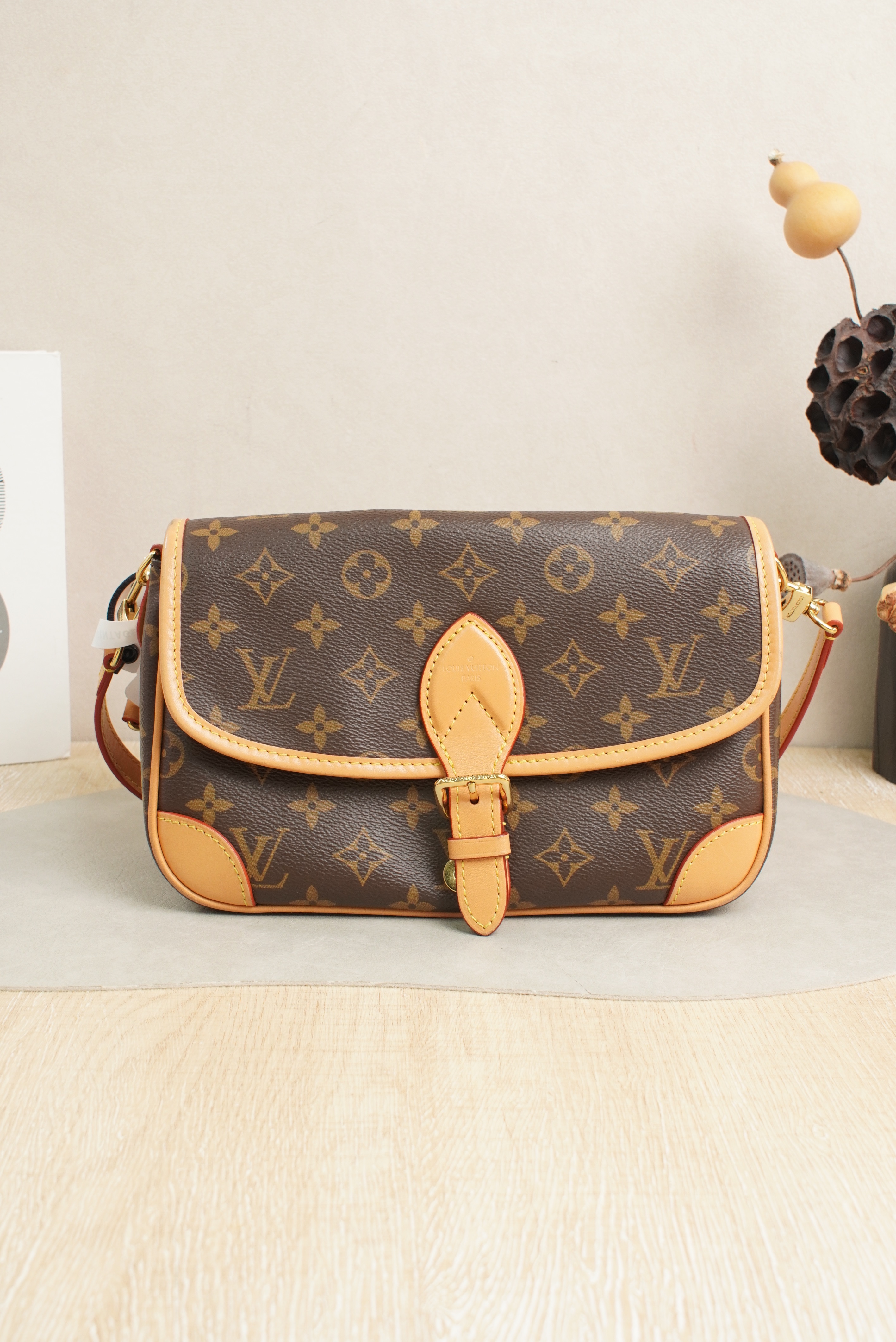 Louis Vuitton Bag PVC 24*9*15