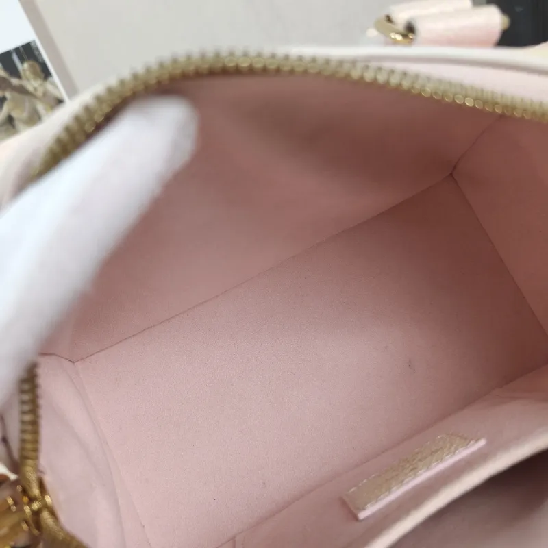 Louis Vuitton Crossbody Bag Speedy20 Collection · Calfskin One Size 20.5 × 12 × 13.5 cm — detail view 3 of 10