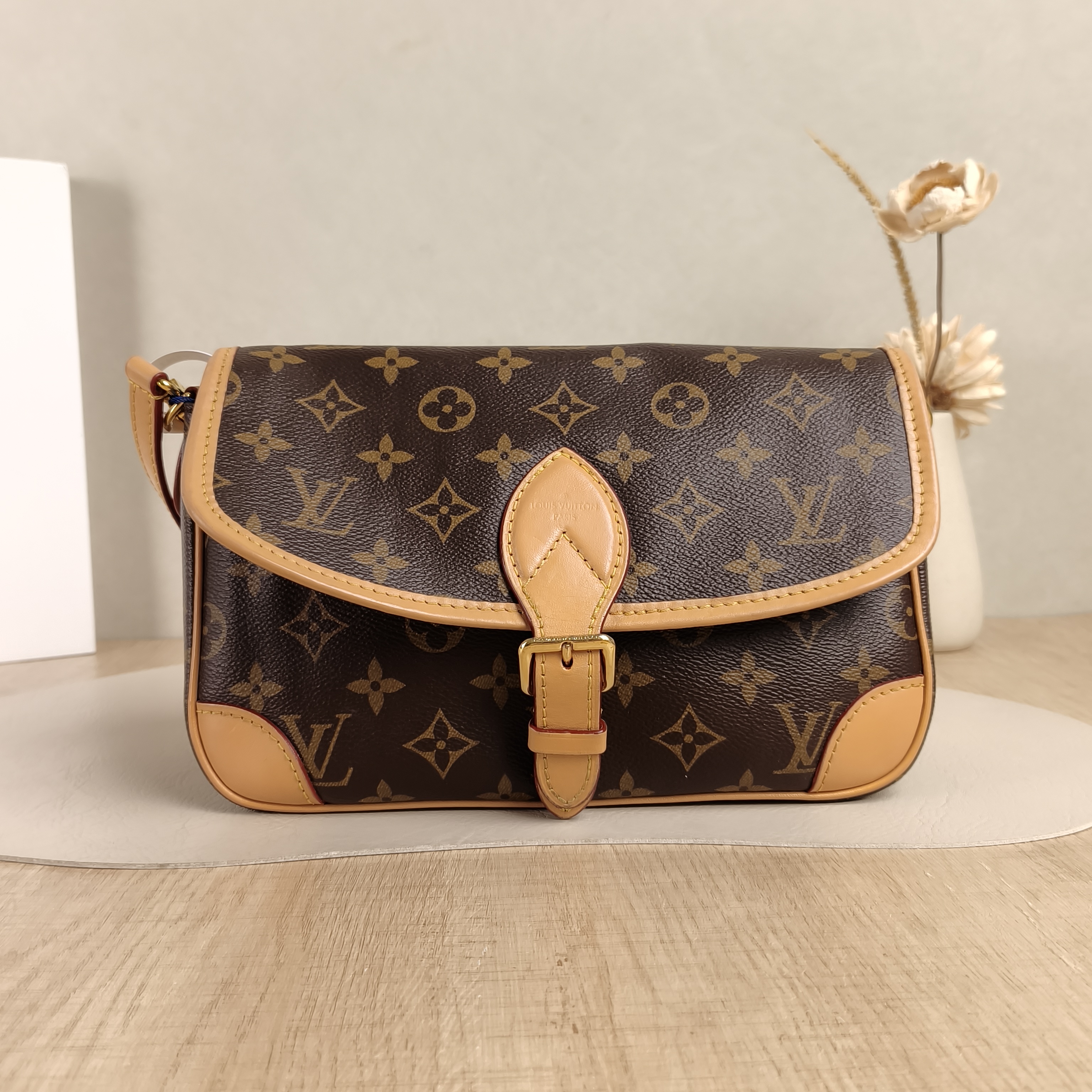 Louis Vuitton Crossbody Bag Diane Baguette Bag Shoulder Strap PVC Small24 × 9 × 15 cm Conditioned