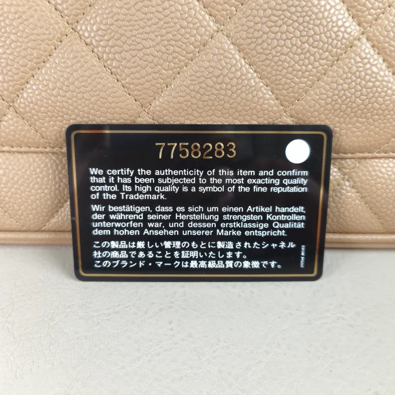Chanel Top Handle Bag Medallion Taupe Grained Calfskin Large 30 × 15 × 24 cm 7 — detail view 8 of 12