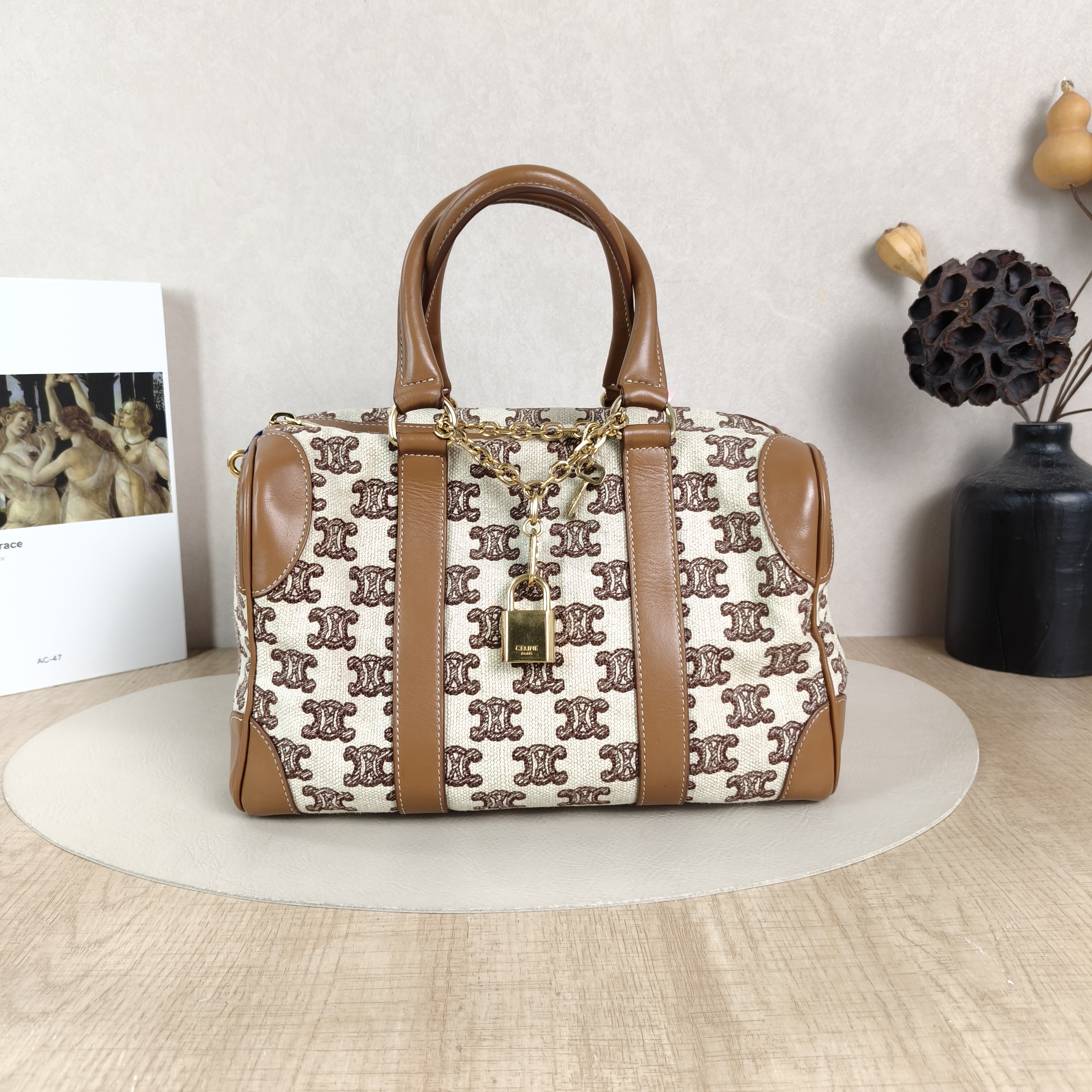 CELINE Shoulder Bag Triomphe Embroidery Brown Canvas · Calfskin Small26 × 14 × 17 cm