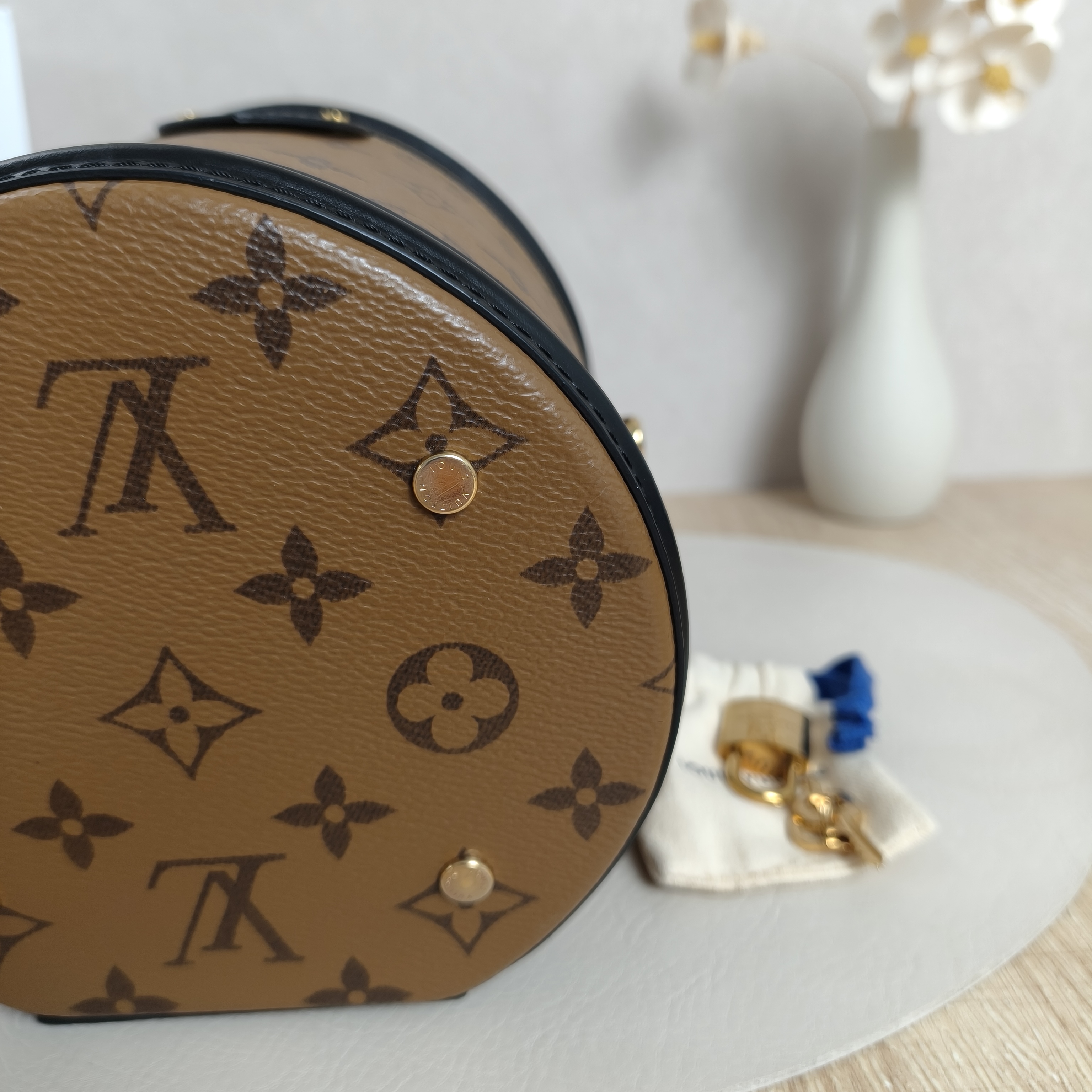 Louis Vuitton Crossbody Bag Cannes Monogram PVC15 × 15 × 17 cm — cover view 7 of 13
