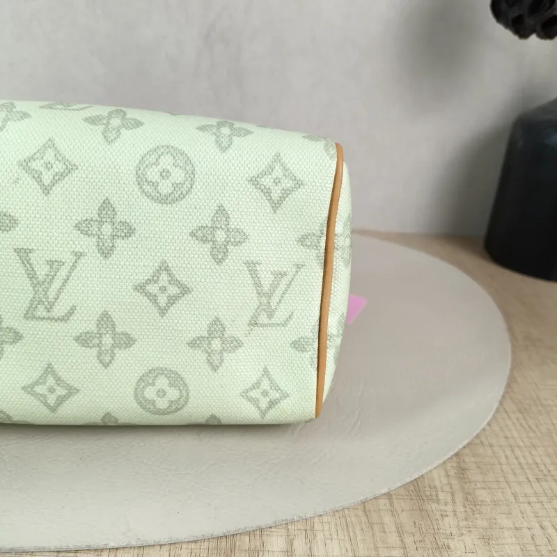 Louis Vuitton Shoulder Bag Speedy20 PVC Small 20.5 × 12 × 13.5 cm — detail view 5 of 12
