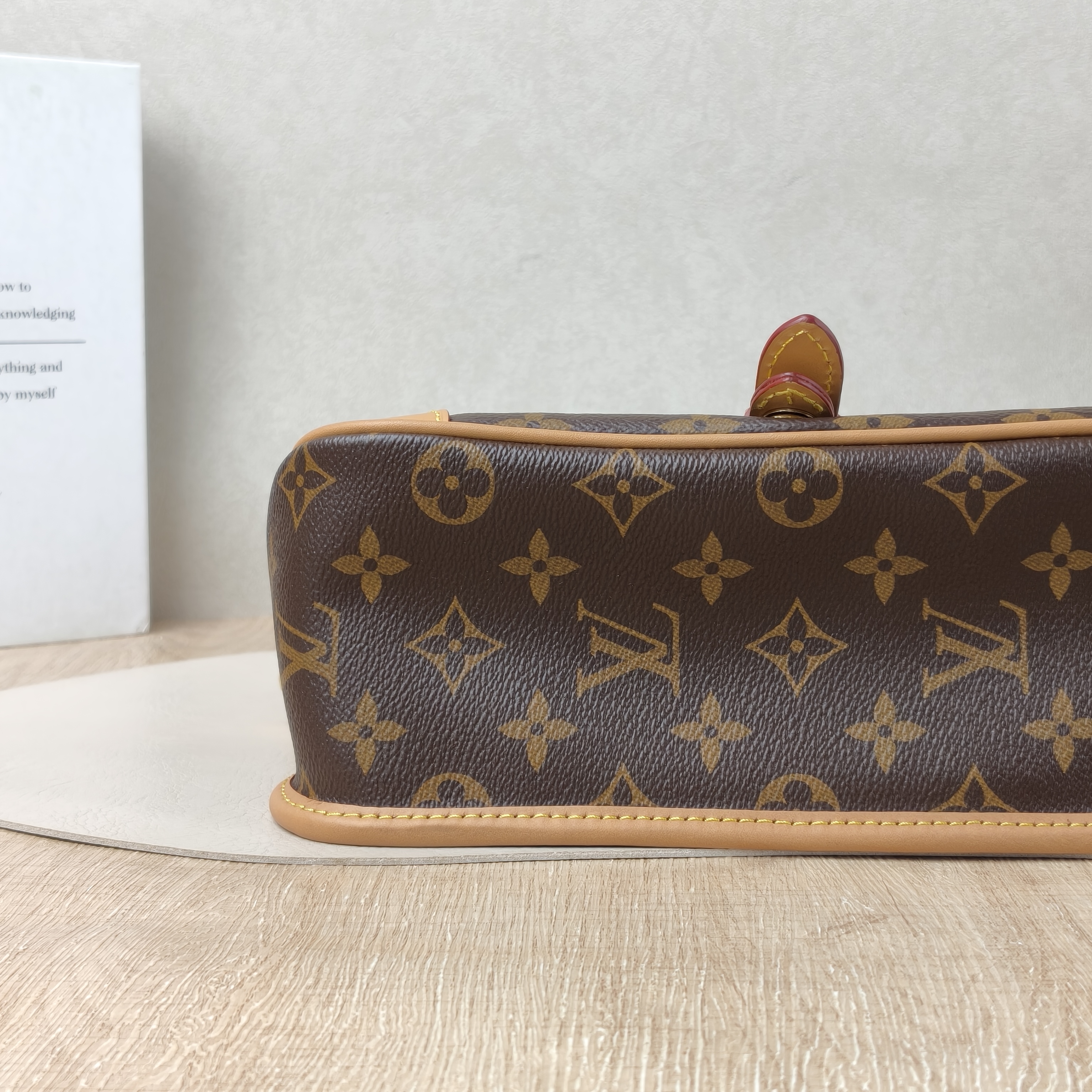 Louis Vuitton Diane Baguette Bag Small Monogrampvc Microchip Edition · Two Straps · 24 × 9 × 15 cm — cover view 5 of 9