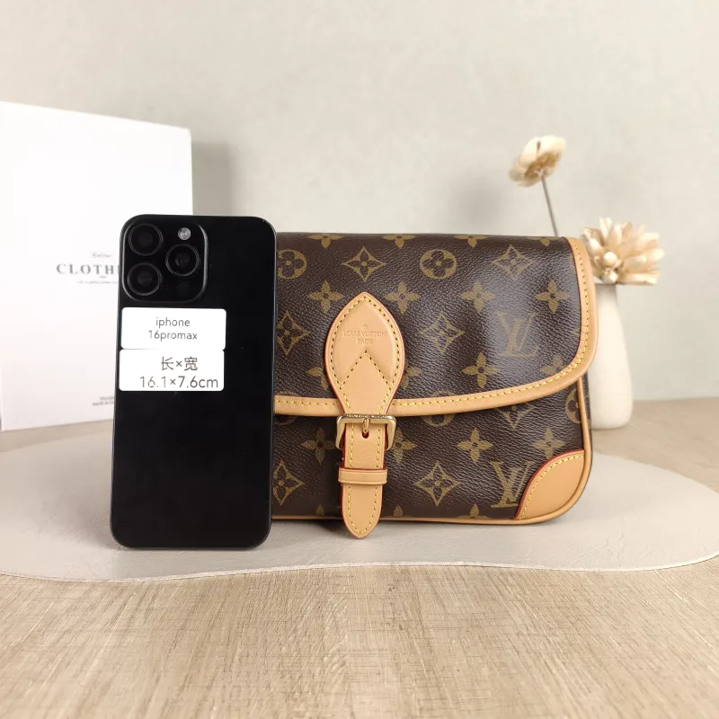 Louis Vuitton Crossbody Bag Diane Baguette Bag Shoulder Strap PVC Small 24 × 9 × 15 cm — cover view 2 of 6