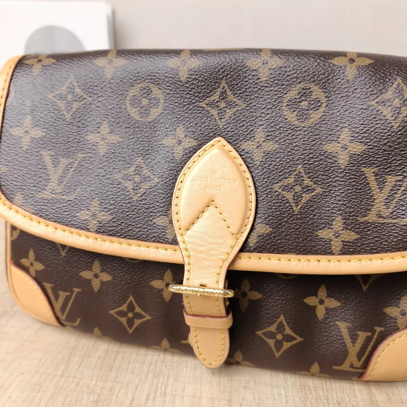 Louis Vuitton Crossbody Bag Diane Baguette Bag Shoulder Strap PVC Small 24 × 9 × 15 cm — detail view 6 of 15