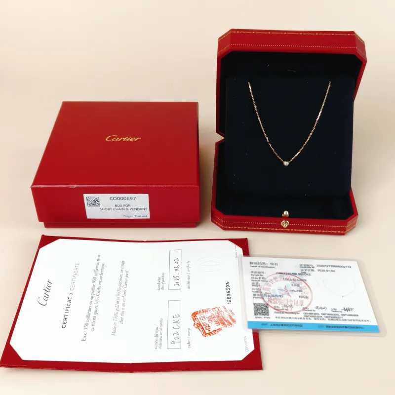 CARTIER Necklace d'Amour Necklace Rose Gold 18KR ose Gold Small 41cm — cover view 2 of 9