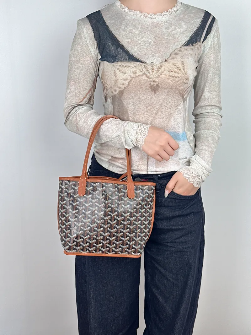 GOYARD Top Handle Bag ANJOU Shopping Tote Brown PV Cmini19.5 × 9 × 19.5 cm — on-model view 1 of 2