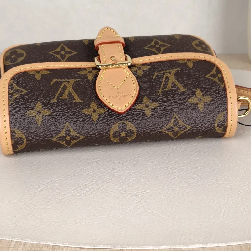 Louis Vuitton Crossbody Bag Diane Baguette Bag Monogram PV Cnano19 × 6 × 10.5 cm — detail view 6 of 12