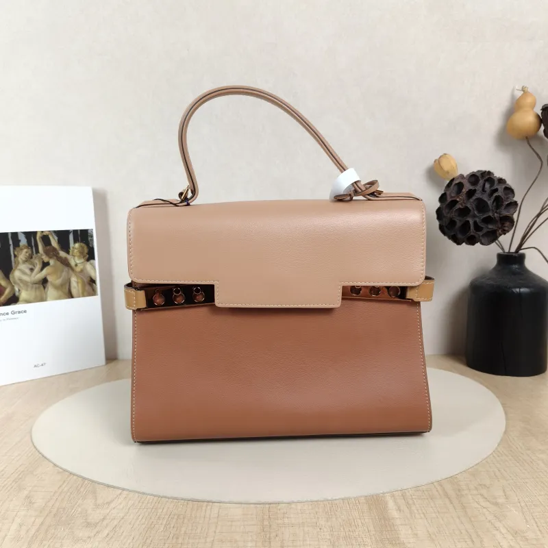 DELVAUX Crossbody Bag Tempete Top Handle Bag Brown Colorblock Calfskin Medium27.5 × 9 × 23 cm