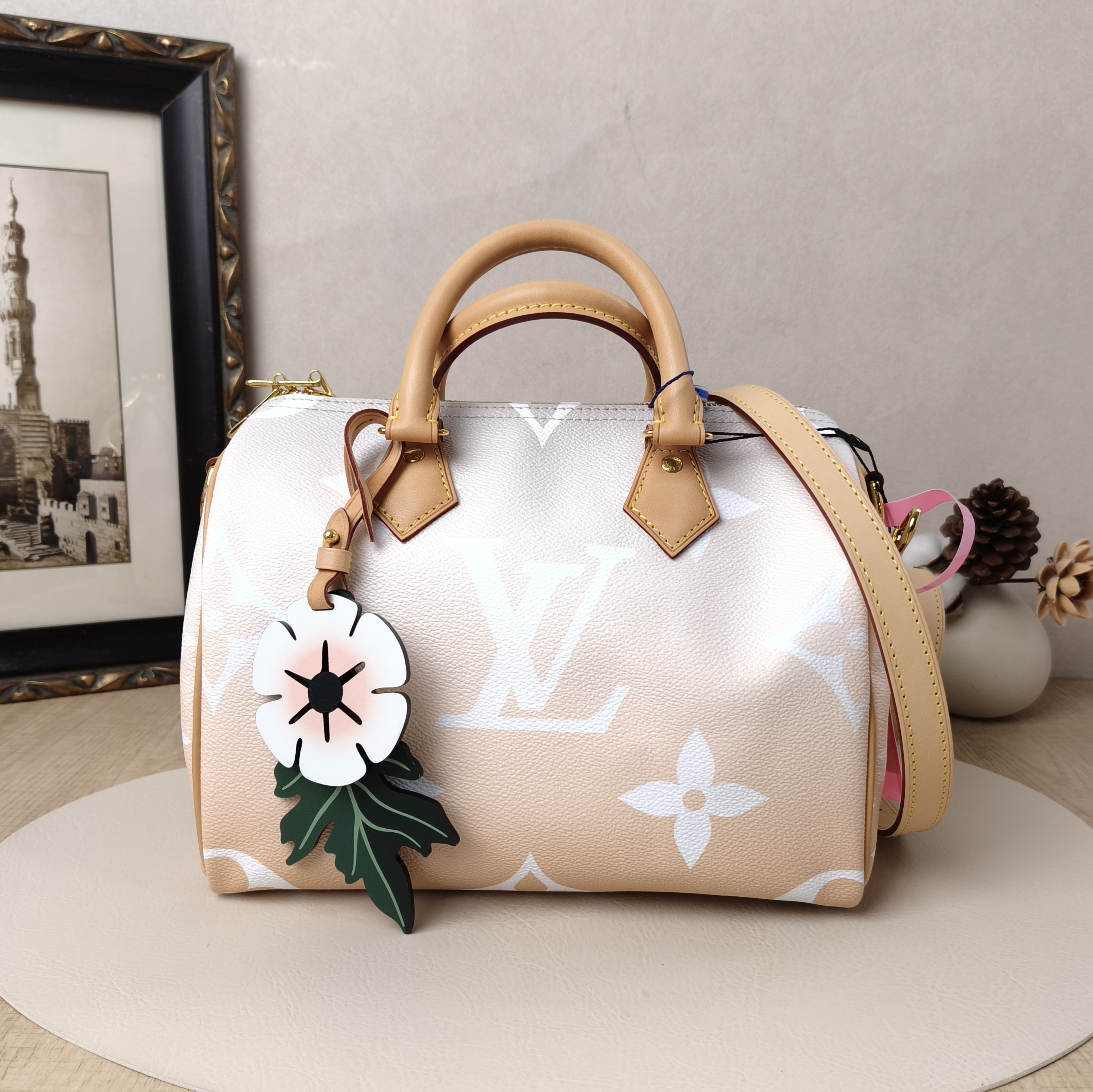 Louis Vuitton Crossbody Bag Speedy25 PVC Medium25 × 15 × 19 cm