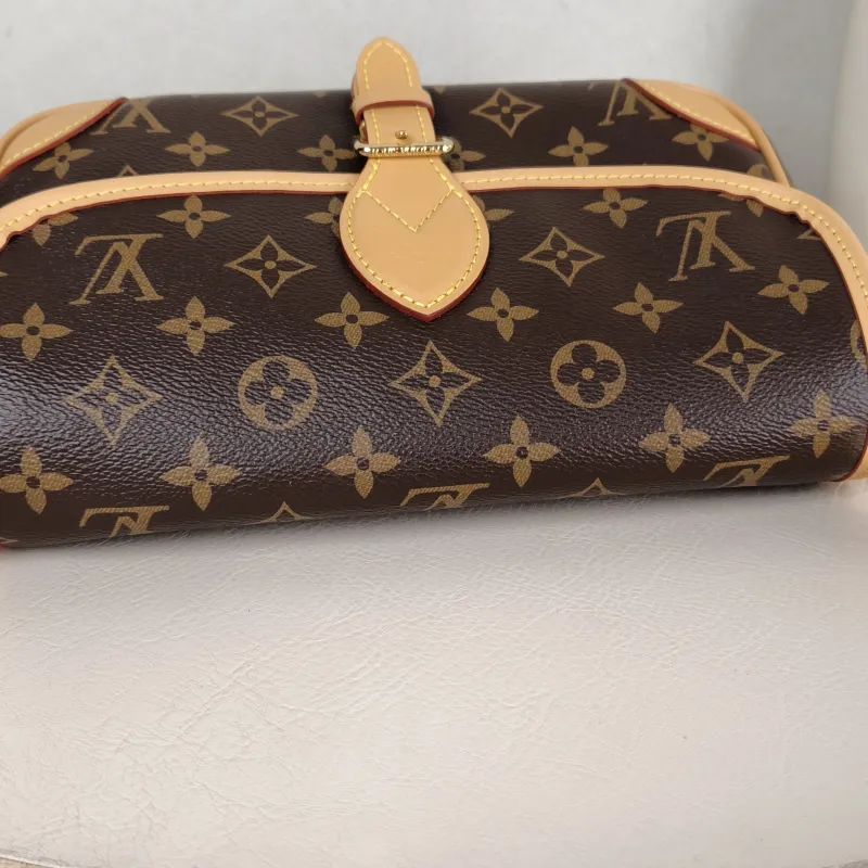 Louis Vuitton Crossbody Bag Diane Baguette Bag Shoulder Strap PVC Small 24 × 9 × 15 cm — detail view 12 of 14