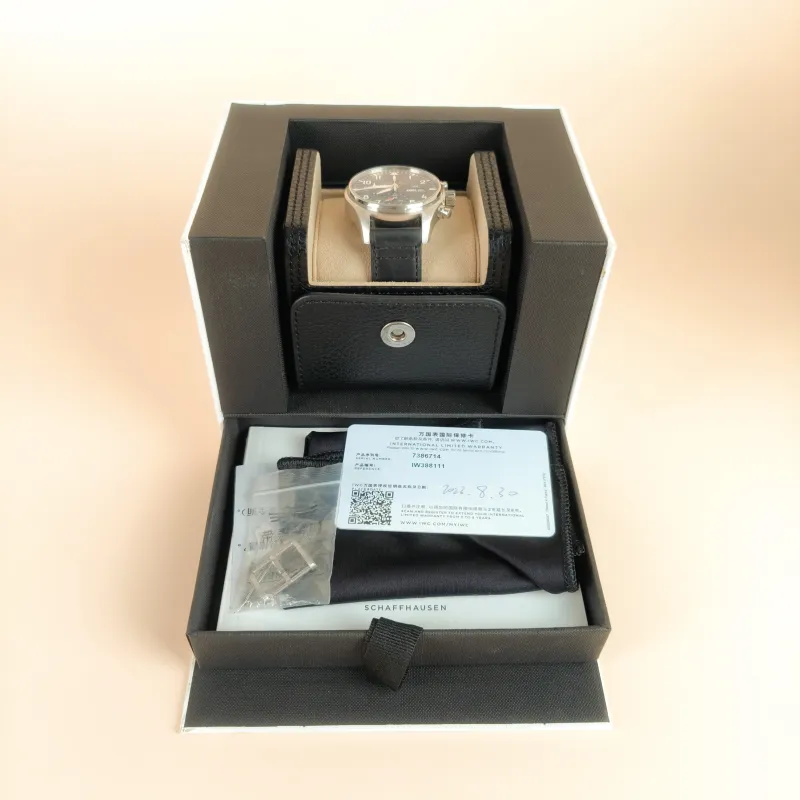 International Watch Company Watch · Collection Watch Black One Size Black 41 — cover view 4 of 7