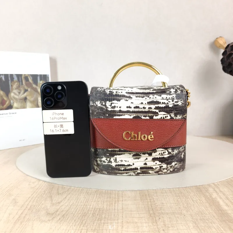 Chloé Shoulder Bag Aby Lock Shoulder Bag Colorblock Embossed Calfskin One Size 17 × 6.5 × 15.5 cm — cover view 5 of 6