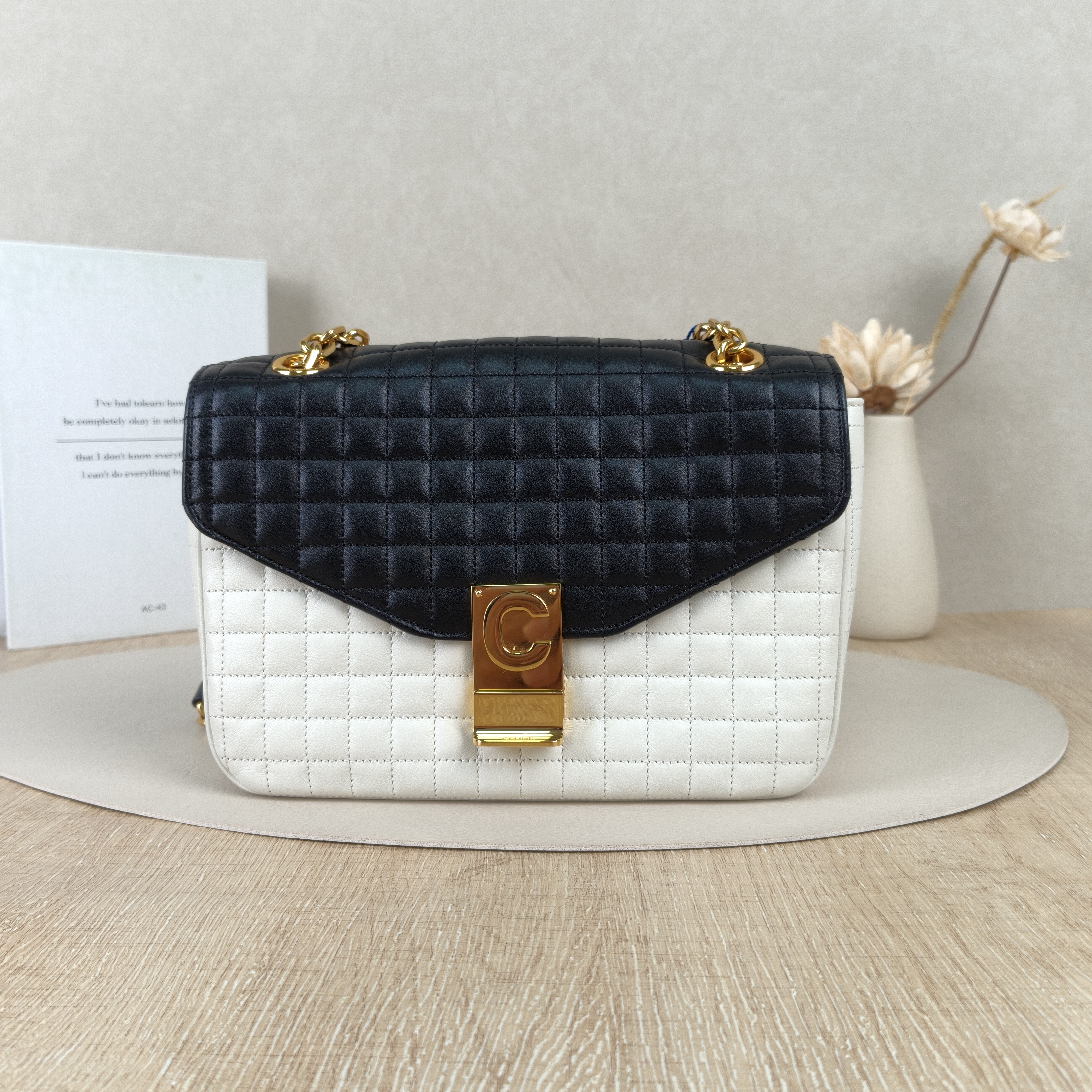 CELINE Calfskin · Dust Bag · 23 × 9 × 15 cm