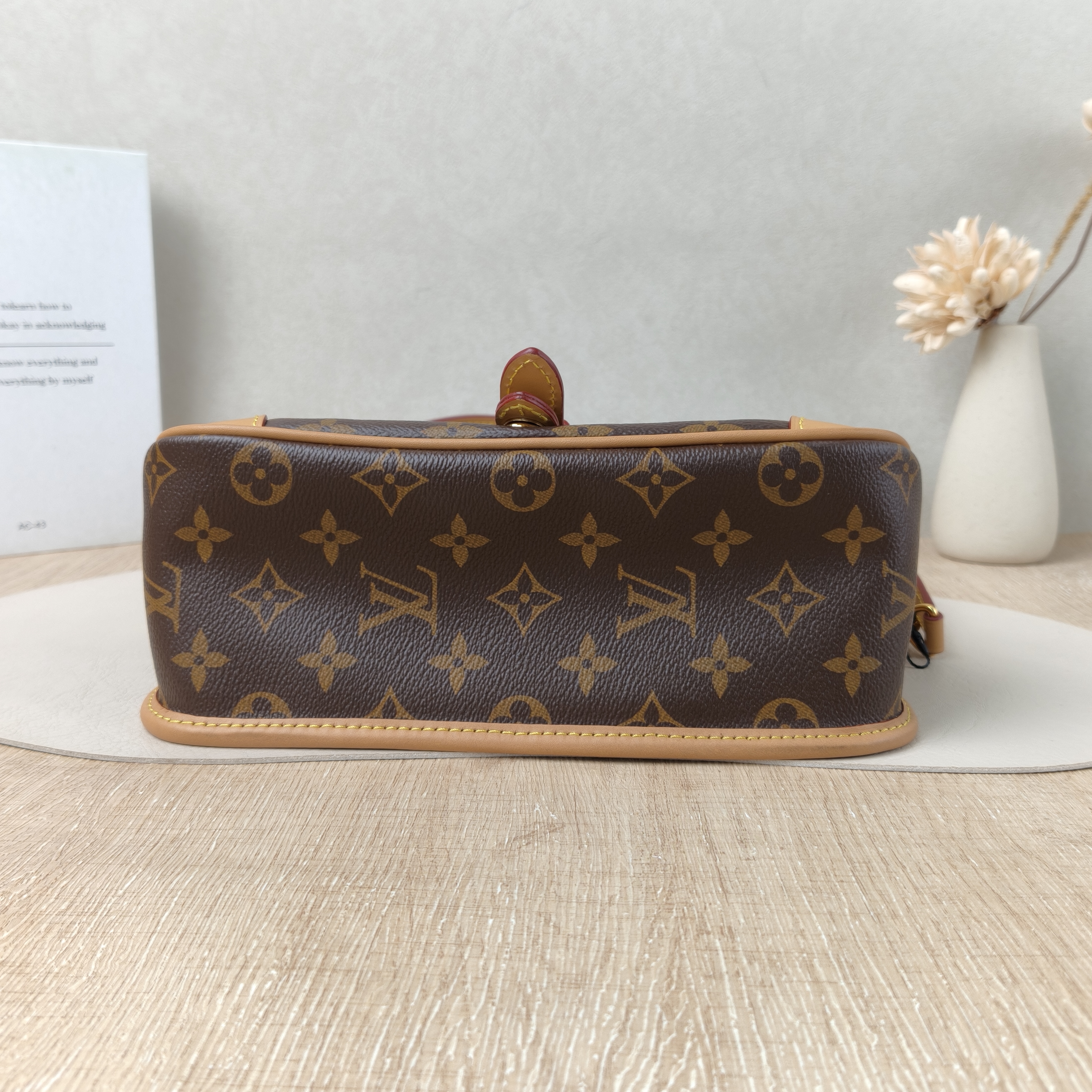 Louis Vuitton Diane Baguette Bag Small Monogrampvc Microchip Edition · Two Straps · 24 × 9 × 15 cm — cover view 9 of 9