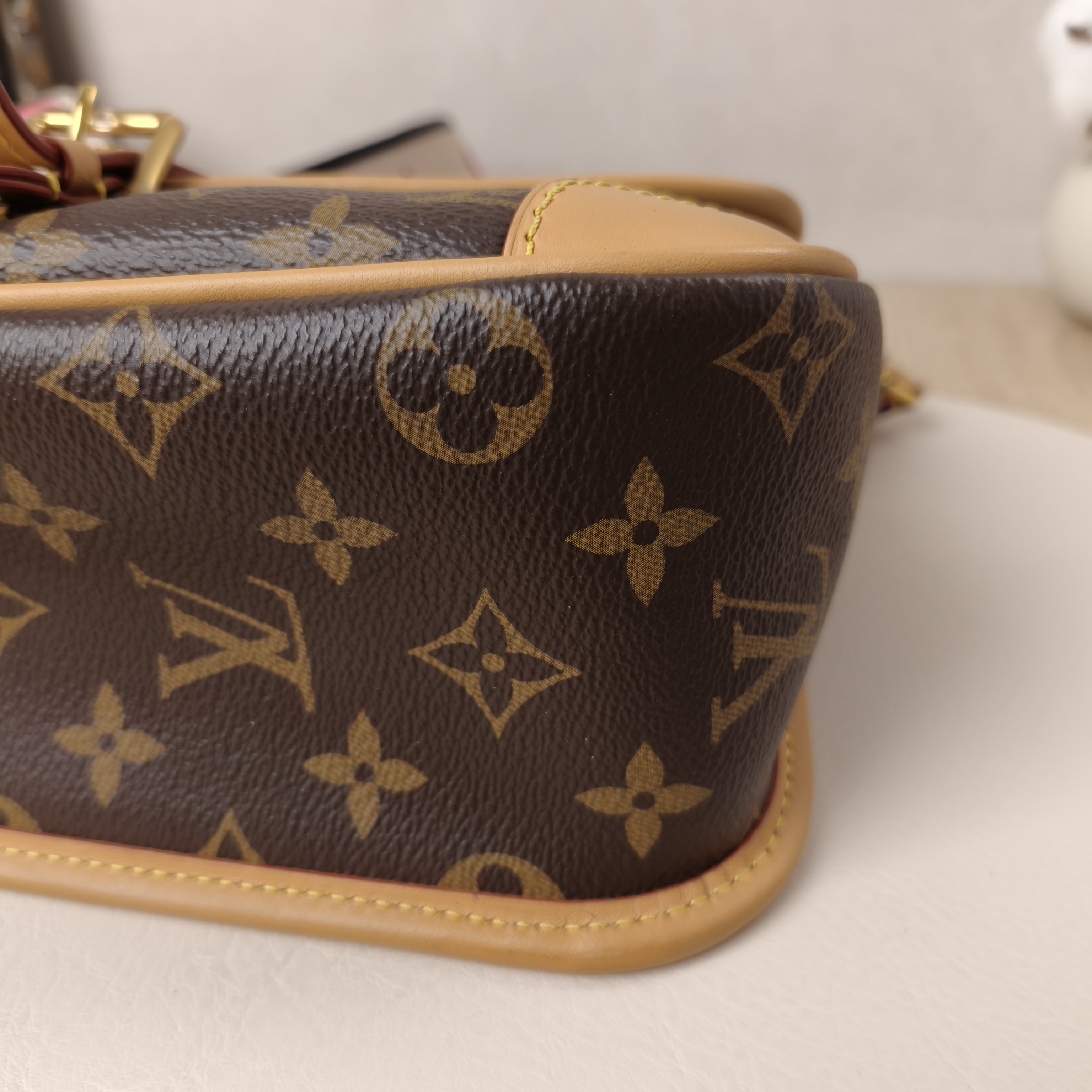 Louis Vuitton Crossbody Bag Diane Baguette Bag Shoulder Strap PVC Small24 × 9 × 15 cm — cover view 9 of 9