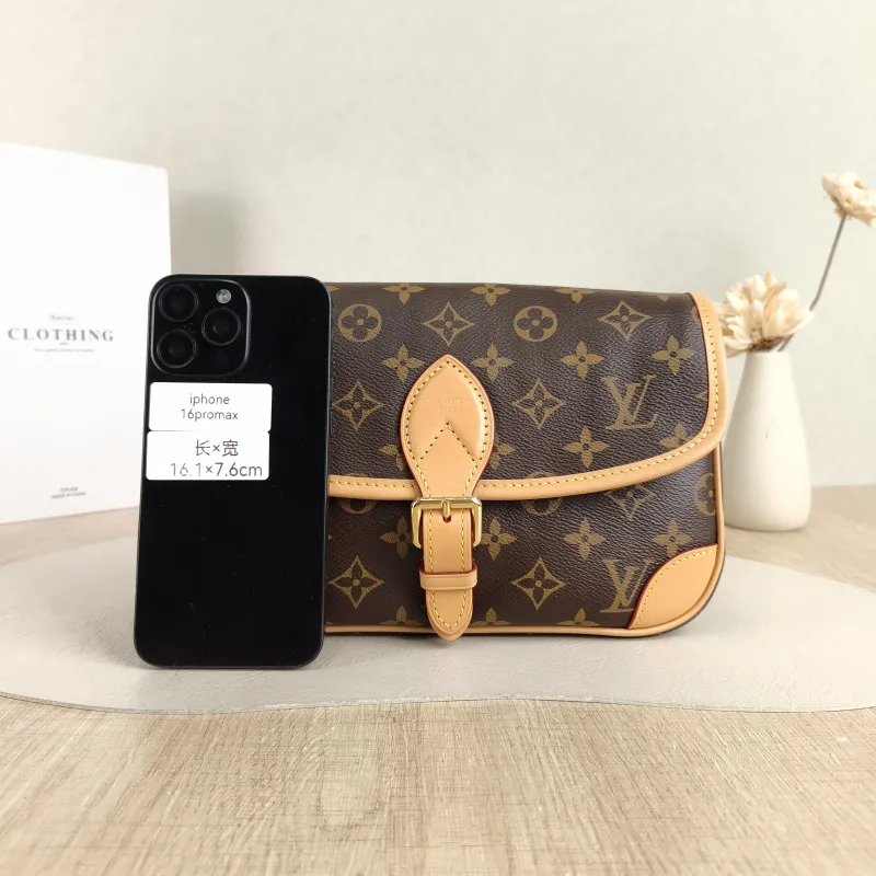 Louis Vuitton Crossbody Bag Diane Baguette Bag Shoulder Strap PVC Small 24 × 9 × 15 cm — cover view 5 of 5
